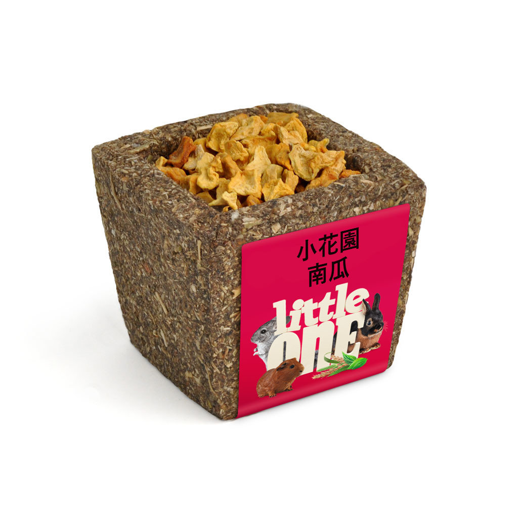 南瓜小花園 南瓜小花園