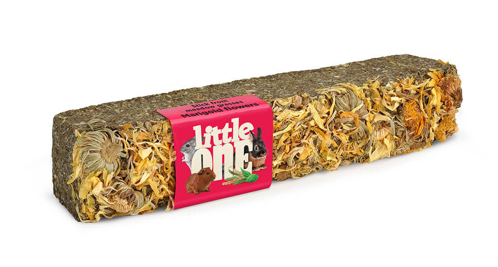 Little One 小花圃-萬壽菊花 Little One 小花圃-萬壽菊花