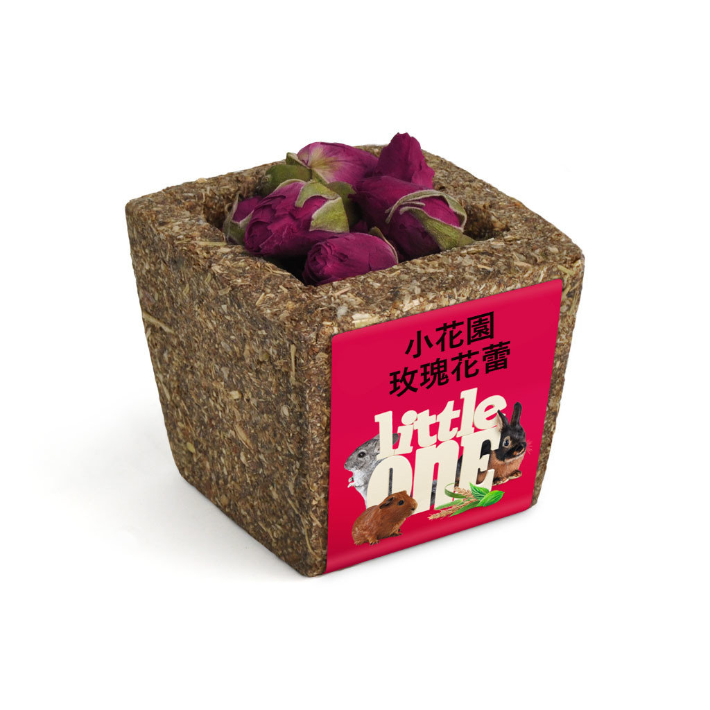 玫瑰花蕾小花園 玫瑰花蕾小花園